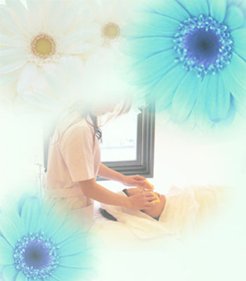 �Z���i���b�X��